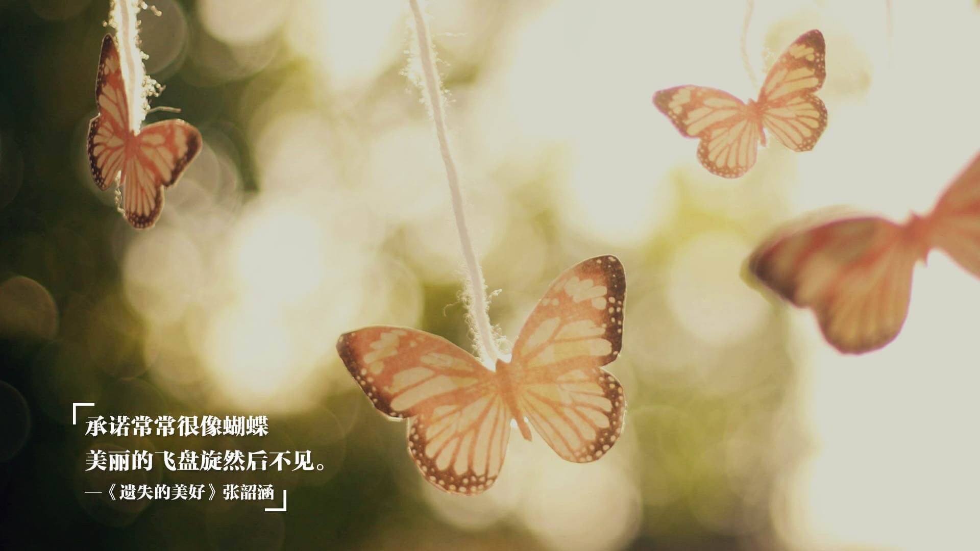 “青春光芒”青少年篮球公益巡演在云南激动人心，2020云南省青少年篮球锦标赛