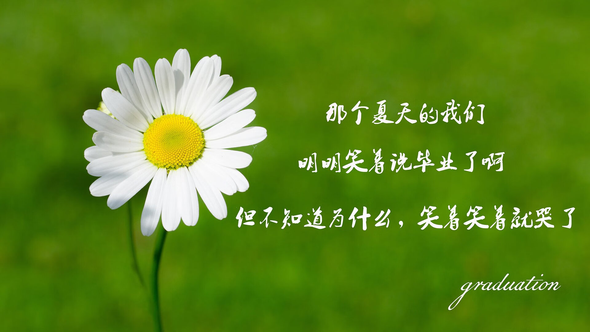 传奇的“巅峰年华”回忆：那些永不褪色的高光时刻