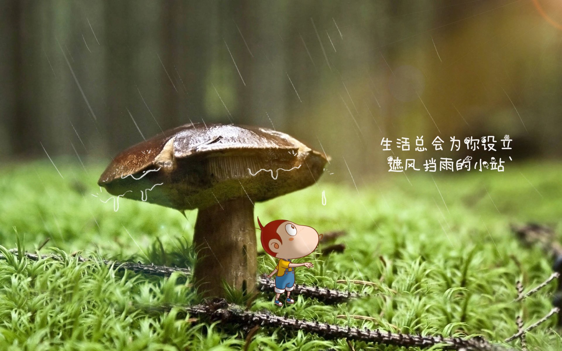从淘汰赛到冠军：球队的欧冠“成长之路”，欧冠淘汰赛机制