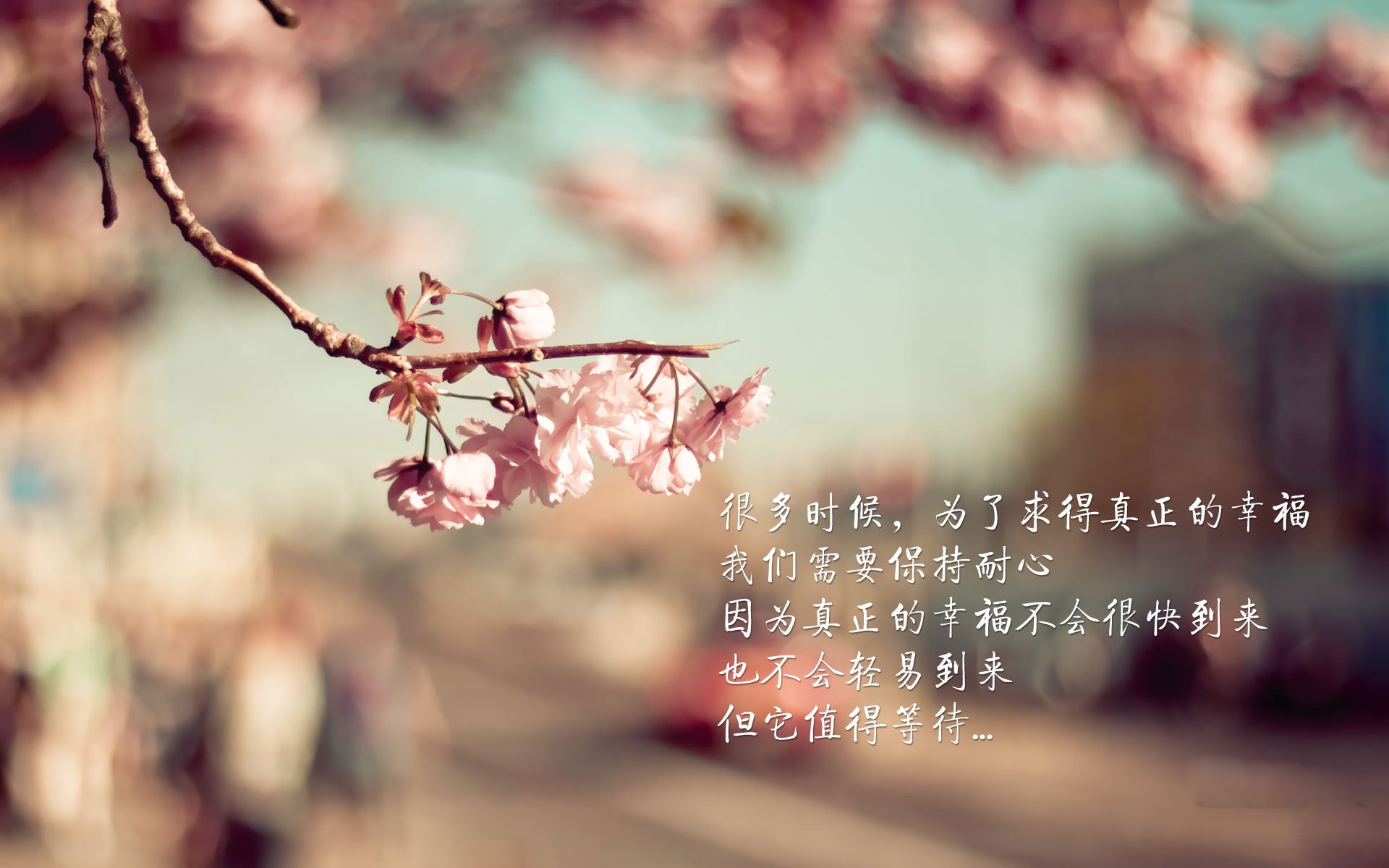 中国篮球青少年篮球运动员技术动作动作捕捉分析，中国青少年篮球训练指导手册