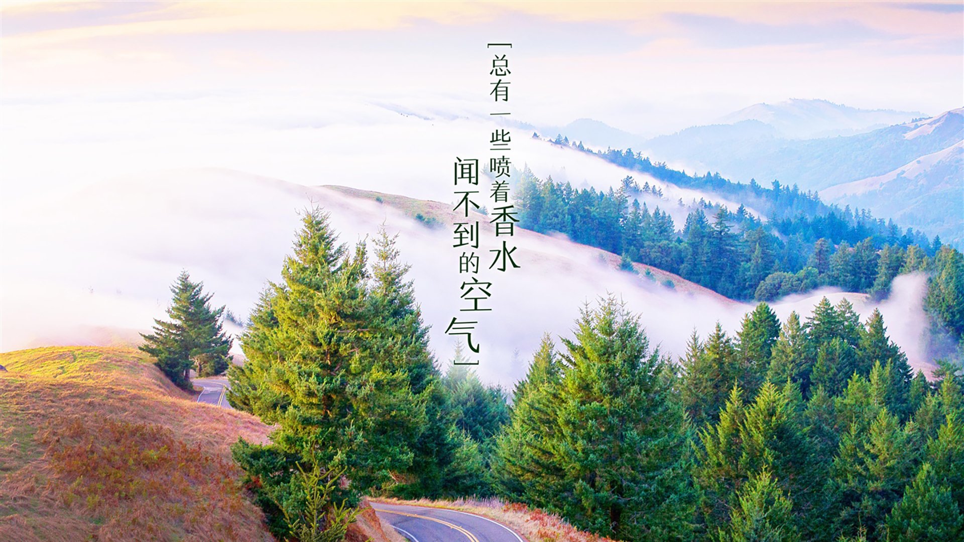 切拉苏奥洛极限发力 游出巅峰速度，切尔西拉伊奥拉