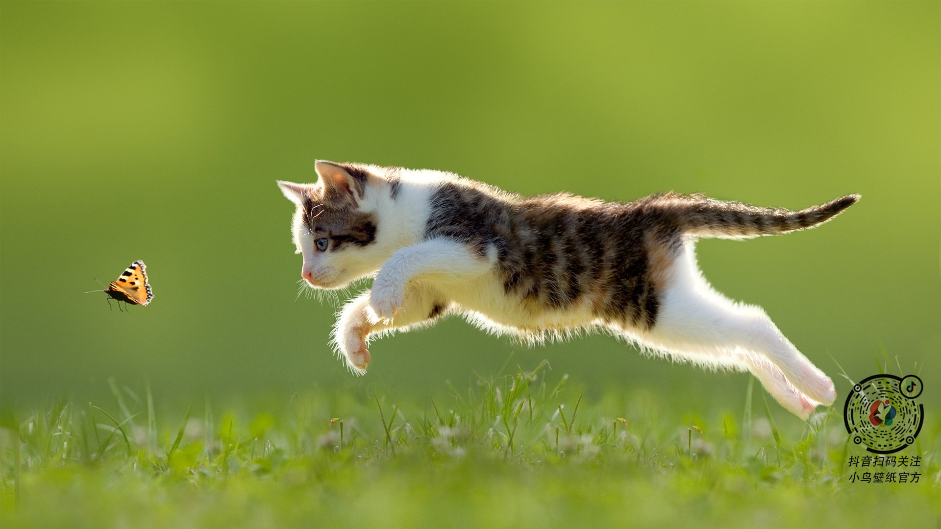 皮特·库策刷新个人最佳，成绩引人注目，皮特库欣