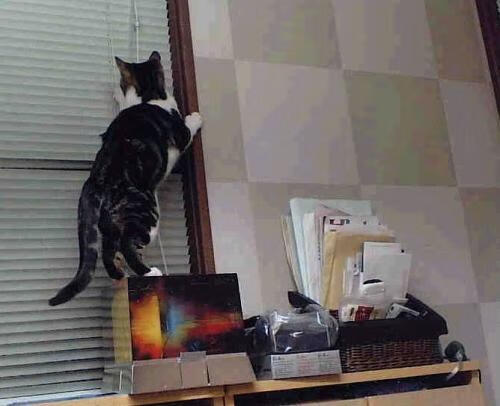 青训中心提供模拟选拔日增强实战心理适应力,青训选拔机制