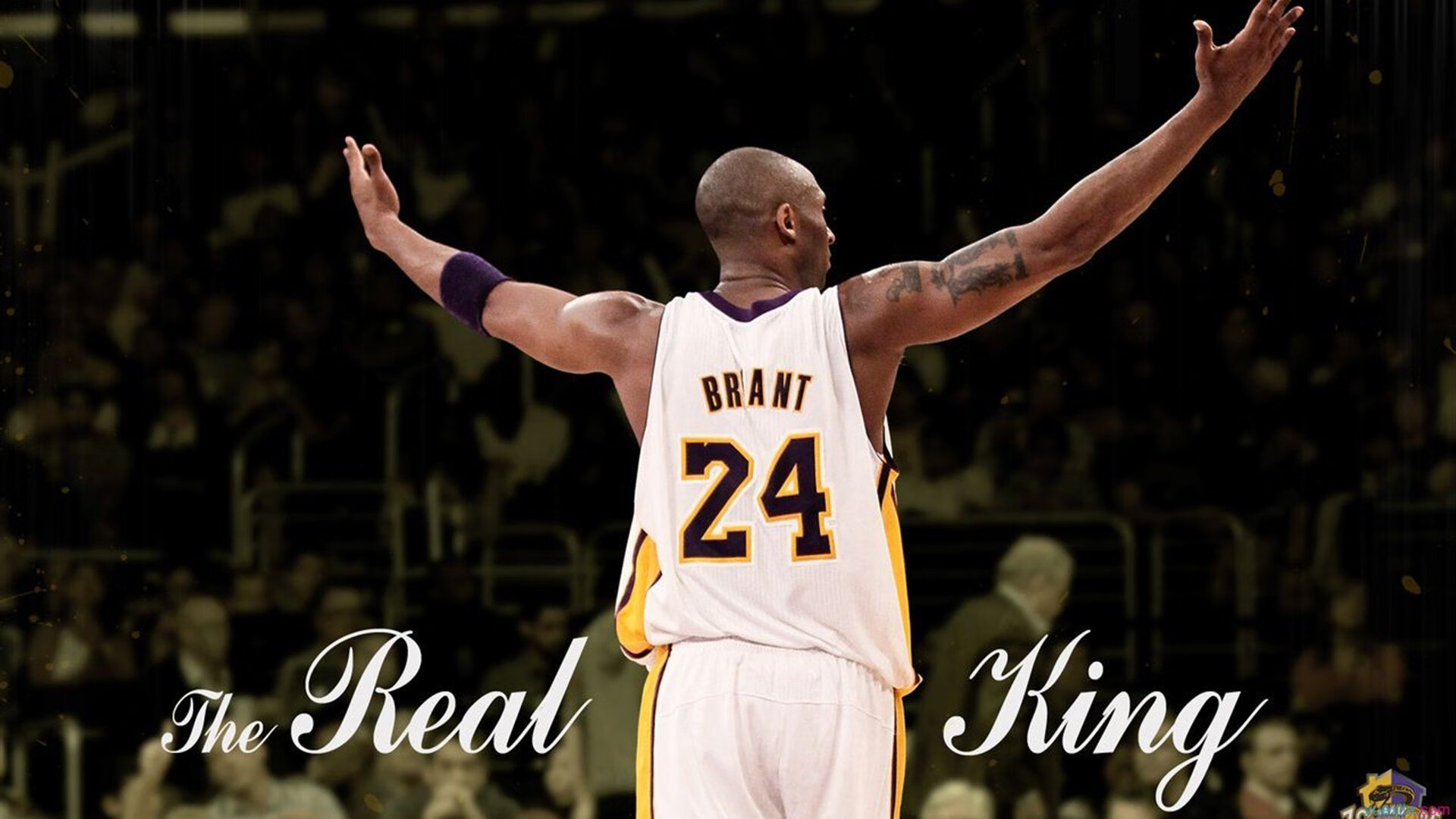 开云体育平台-篮球裁判视频回放技术助力判罚精准，篮球裁判集锦